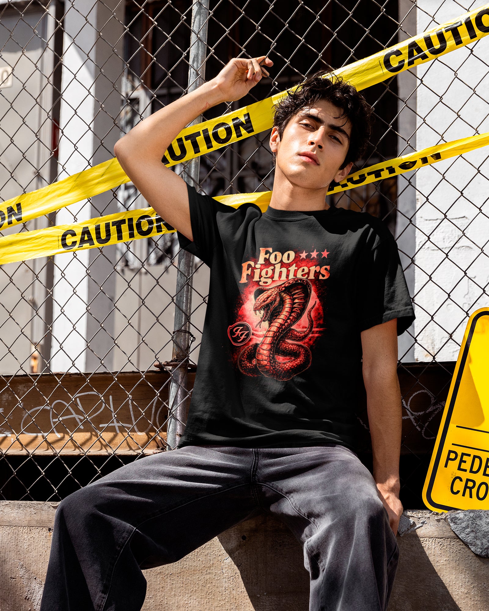 Camiseta Rock Foo Fighters Snake Estampa